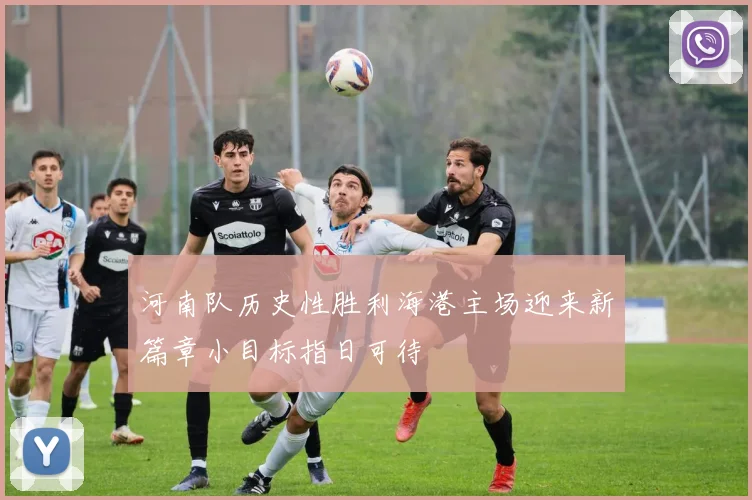 河南队历史性胜利海港主场迎来新篇章小目标指日可待