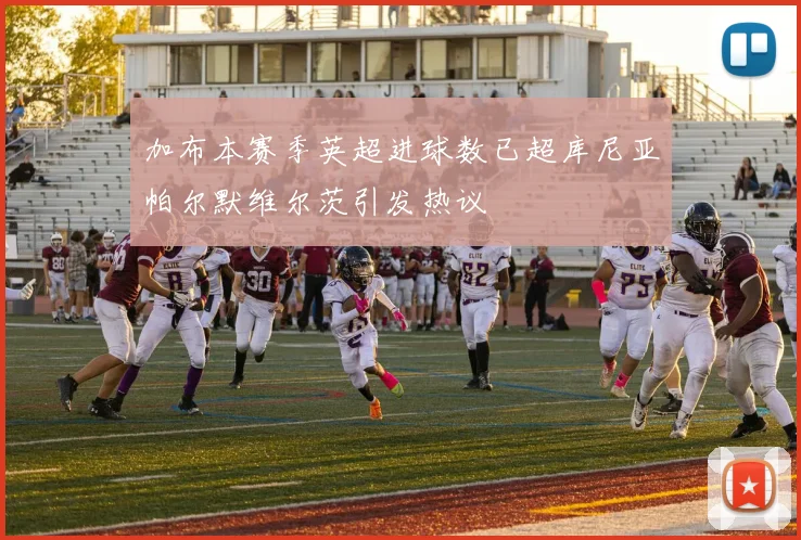 加布本赛季英超进球数已超库尼亚帕尔默维尔茨引发热议